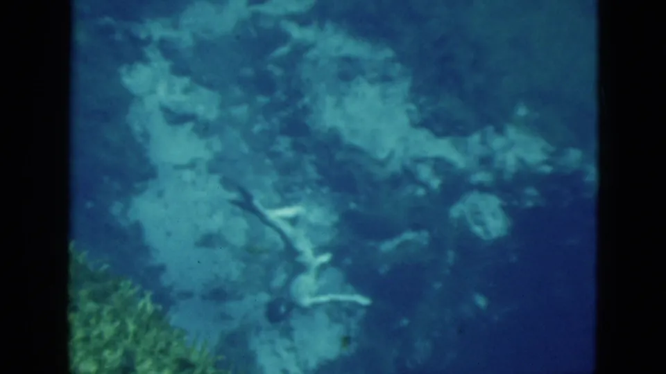 1952 Florida 8mm frame showing the diver viewed from above as she passes over reef patches and sea grass.