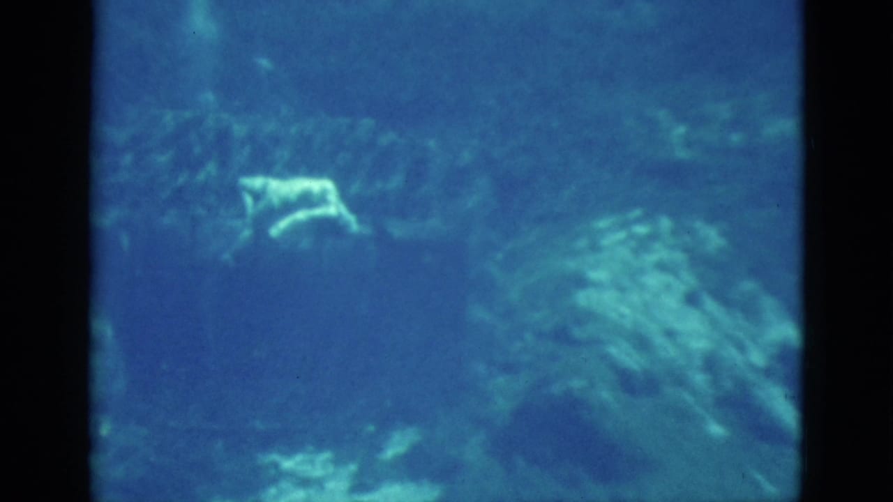 Two swimmers underwater near blue-green rock formations.