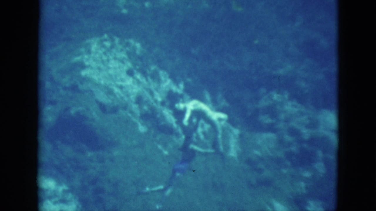 A swimmer in dark swimwear extends one arm underwater near a pale rock formation, with another figure faintly visible.