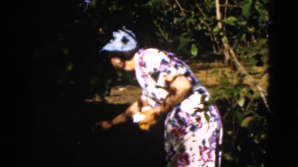 1952 Quebec 8mm frame showing the woman continuing to bend near dense plants, with bright sun and deep shadow across the garden.