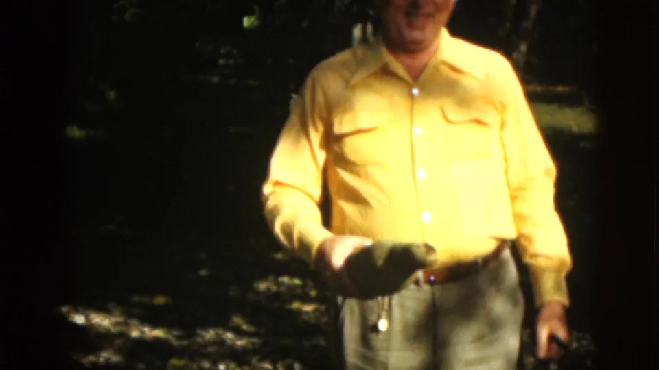 1952 Quebec home-movie frame of a man in a yellow collared shirt holding fruit in a shaded garden area.