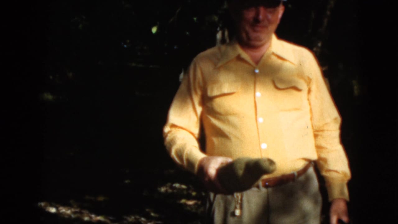 Older man in a yellow shirt holds an elongated vegetable outdoors in deep shade.