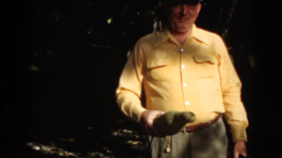 In 1952 Quebec home-movie footage, an older man in a yellow shirt presents a large elongated vegetable toward the camera.