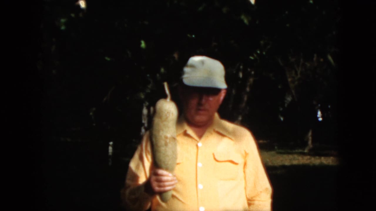 Older man in a pale cap holds a large elongated vegetable beside his chest outdoors.