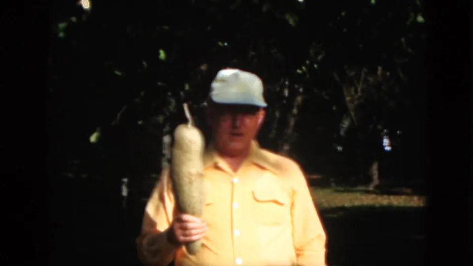 The older man faces the camera with a large elongated vegetable held upright, with trees and lawn behind him in Quebec footage.