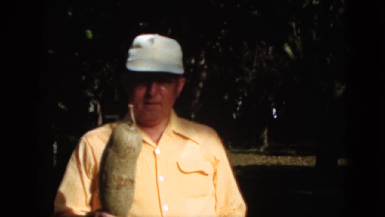 In this 1952 Quebec home-movie frame, a man in a yellow shirt and white cap holds a long pale pod against a dark wooded background.