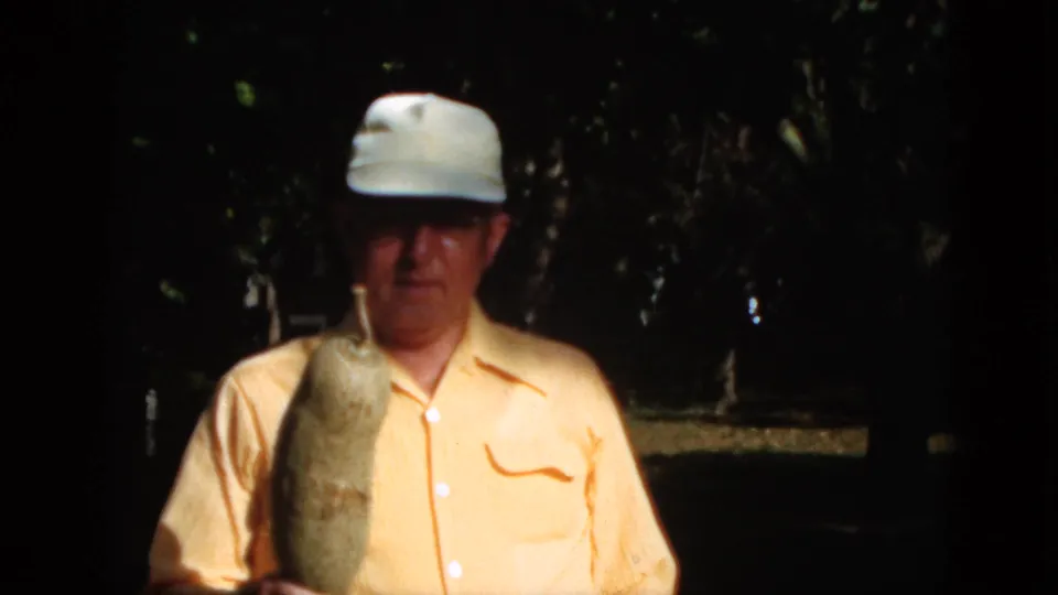 In this 1952 Quebec home-movie frame, a man in a yellow shirt and white cap holds a long pale pod against a dark wooded background.