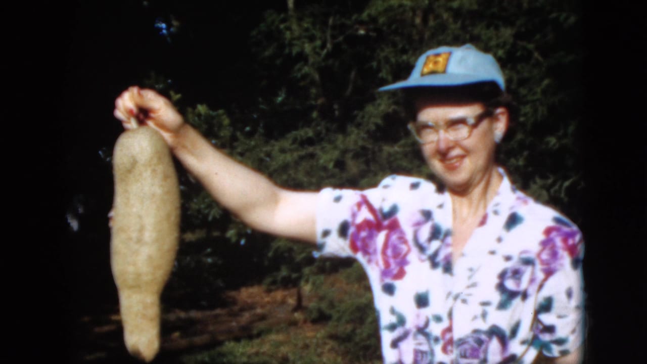 Woman in floral shirt and blue cap smiles while holding a long pod by its stem.