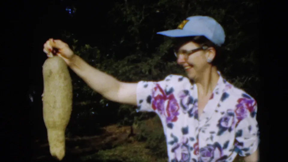 The woman in a blue cap and floral blouse looks at the long pale pod she is holding in the wooded Quebec outdoor scene.
