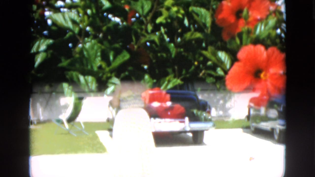 1952 8mm home-movie frame with red hibiscus flowers in the foreground and a sunlit residential driveway, lawn, and parked cars beyond.