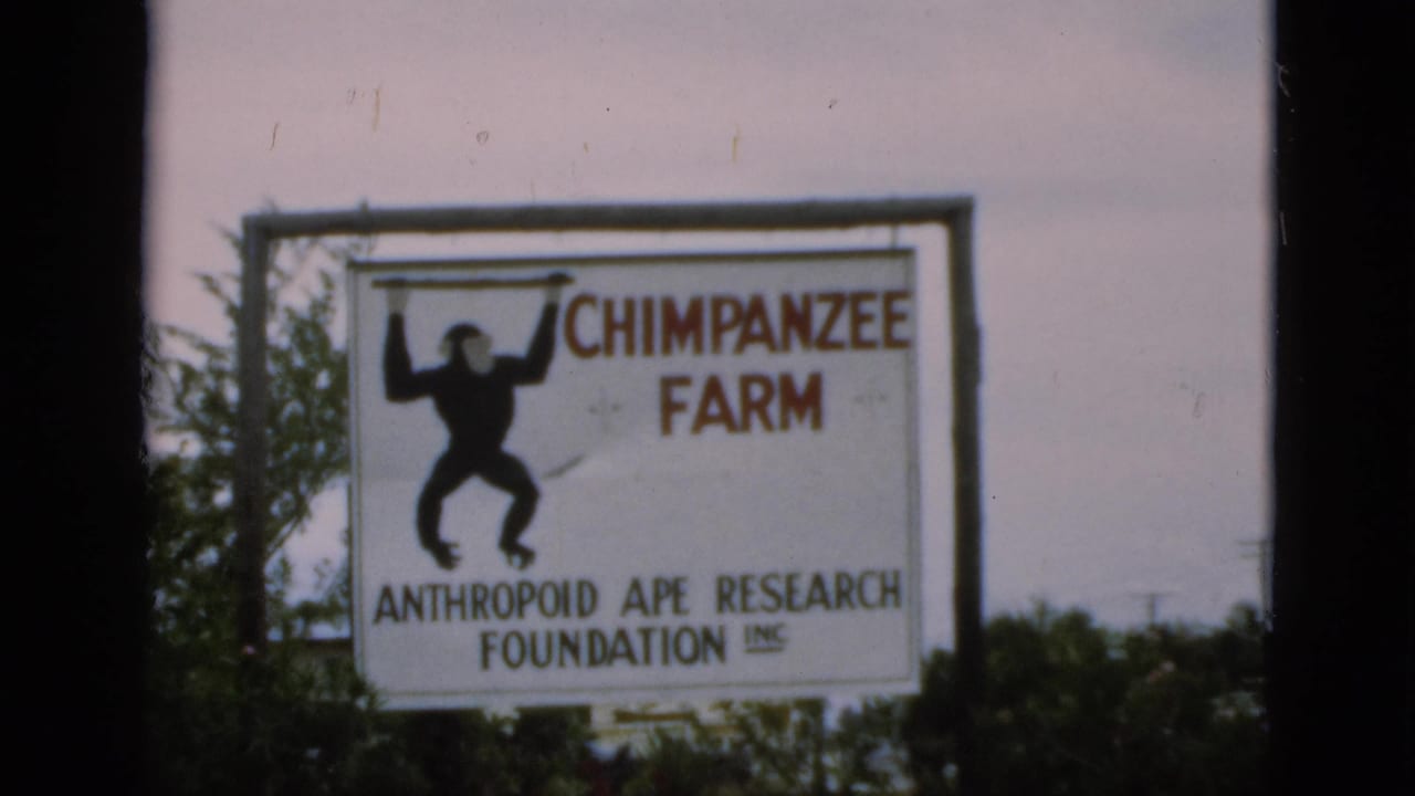 Roadside Chimpanzee Farm sign with a chimpanzee silhouette against the sky.