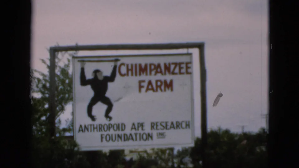 The Chimpanzee Farm sign fills the frame, showing the chimpanzee silhouette and Anthropoid Ape Research Foundation Inc. text.