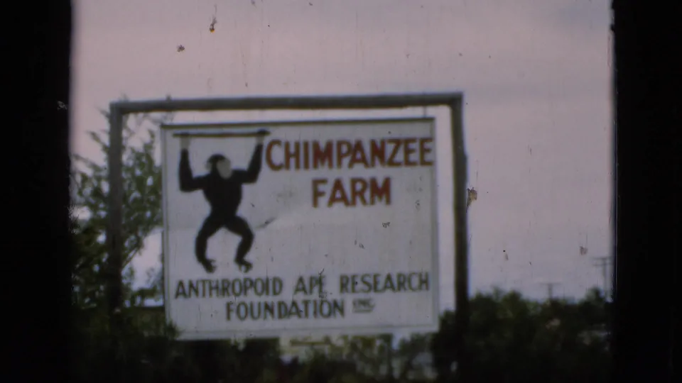 Exterior 8mm frame holds on the Chimpanzee Farm sign, with the foundation name visible above low trees and open sky.