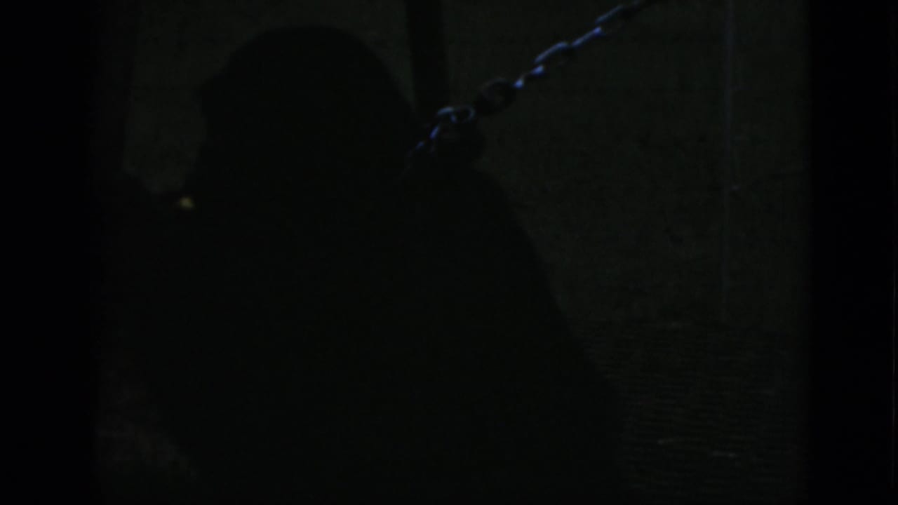 Dark 1952 Quebec zoo frame showing a chimpanzee silhouette near a wall and chain inside a shadowed enclosure.