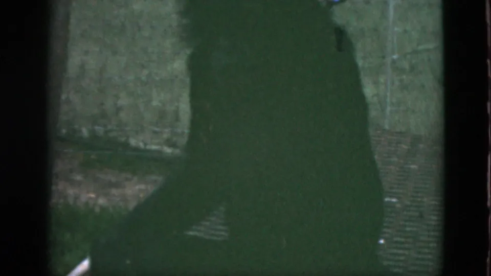 A final 1952 Quebec zoo frame shows the chimpanzee as a dark form against a textured green wall inside the enclosure.