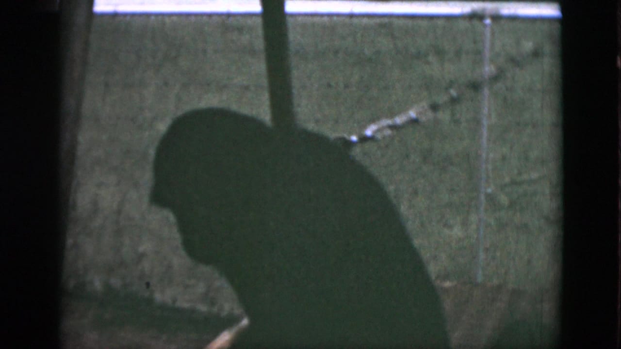The ape appears bent forward inside the Quebec zoo enclosure, partly obscured by darkness and film shadow.