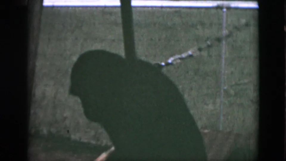 The ape appears bent forward inside the Quebec zoo enclosure, partly obscured by darkness and film shadow.