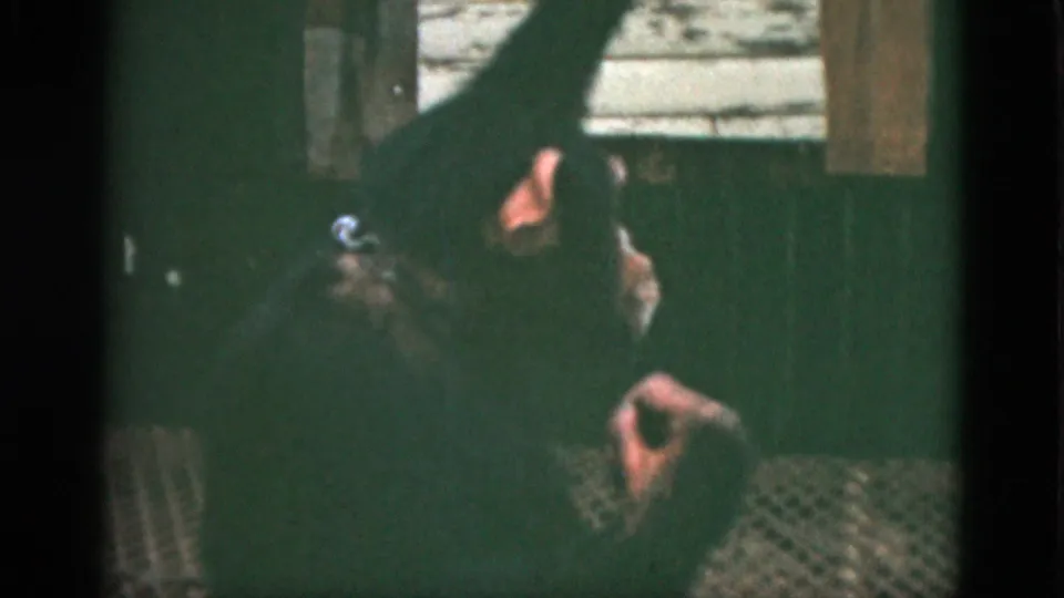1952 Quebec home-movie frame showing the chimpanzee lower in the enclosure, partly reclined or moving on the grate.