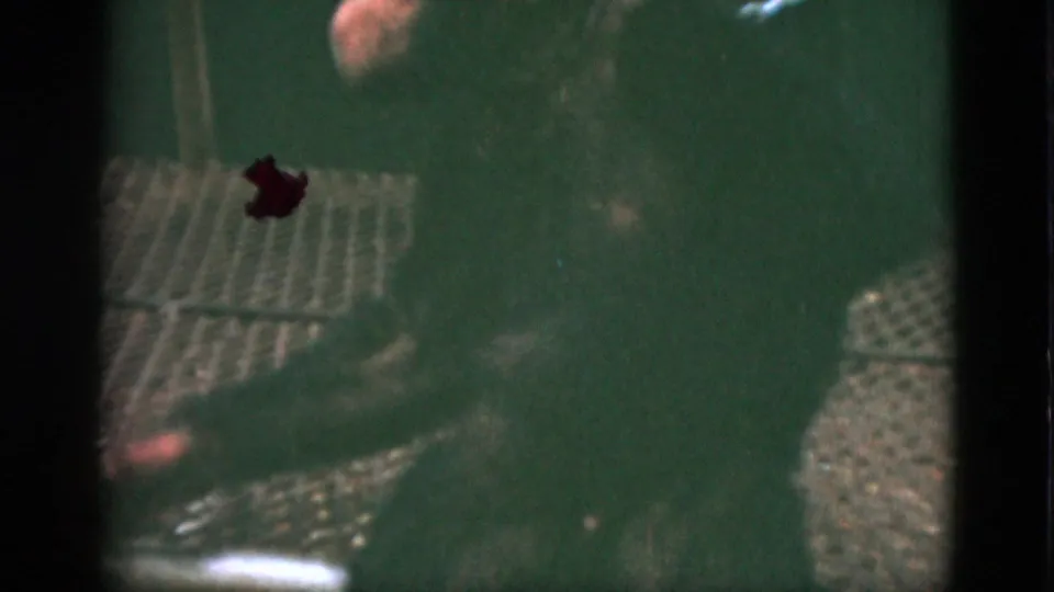1952 Quebec home-movie frame of the chimpanzee crouched in the enclosure, with visible grain, stains, and dark edges.
