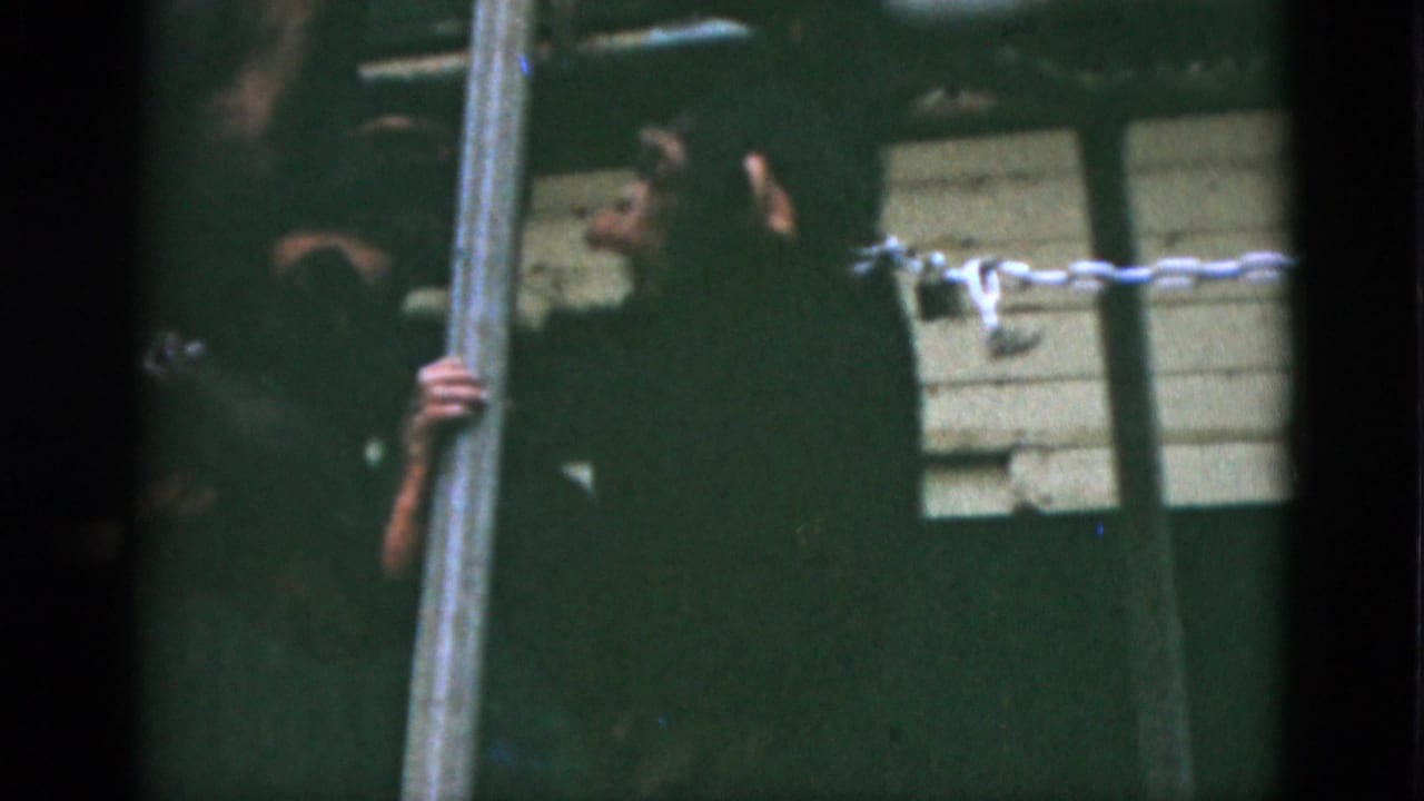 1952 Quebec 8mm frame showing a small monkey near a vertical pole in a dim enclosure with a pale wall and chain or rope barrier.