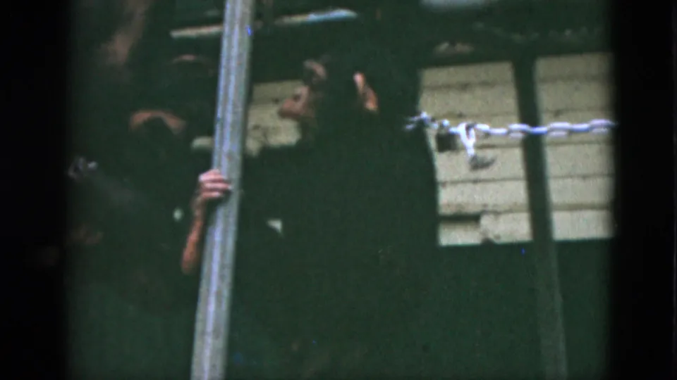 1952 Quebec 8mm frame showing a small monkey near a vertical pole in a dim enclosure with a pale wall and chain or rope barrier.