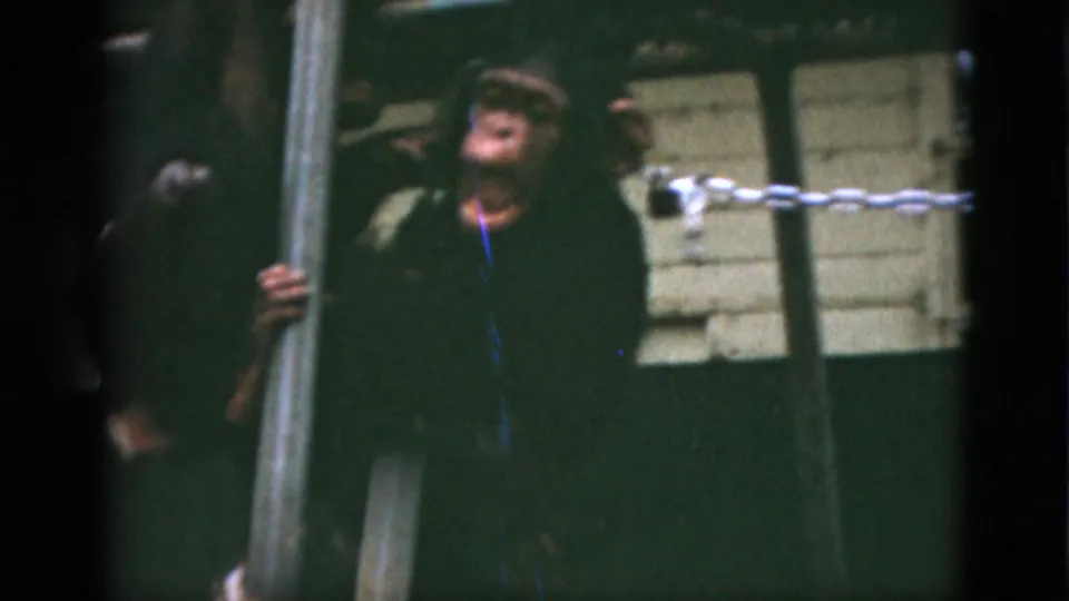 1952 Quebec 8mm frame showing a small monkey's face and hand near a pole, with barrier line and wall panels behind.
