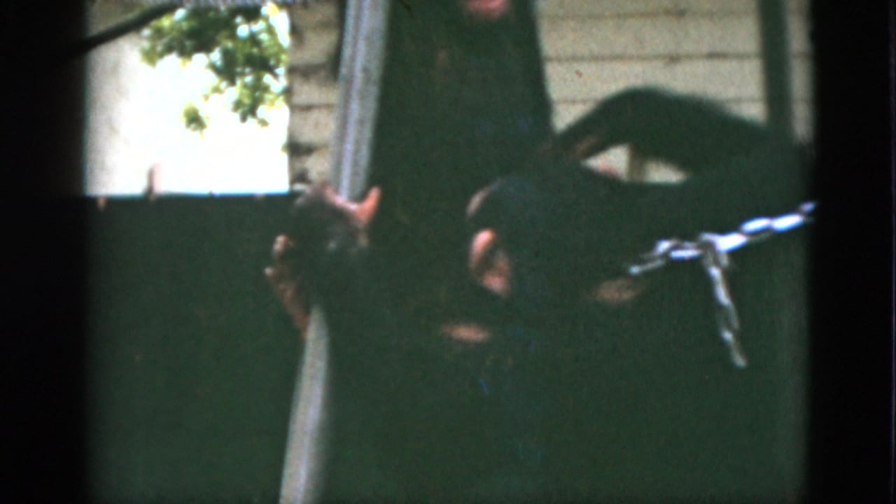 1952 Quebec home-movie frame of a monkey near a pole and green barrier, with a chain crossing the foreground of the outdoor enclosure.