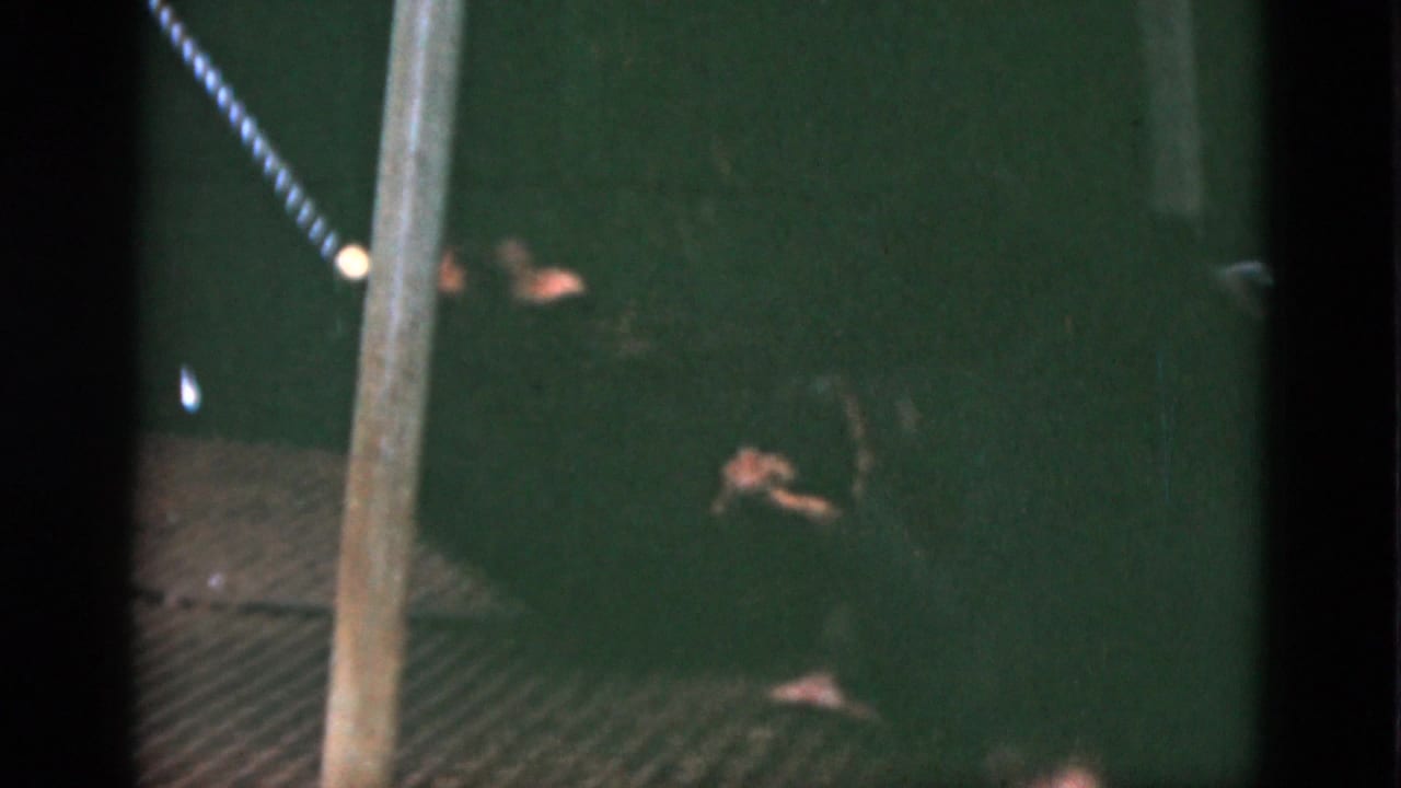 1952 Quebec 8mm frame with a chimpanzee low on wire flooring inside a dark enclosure, near a chain and vertical pole.