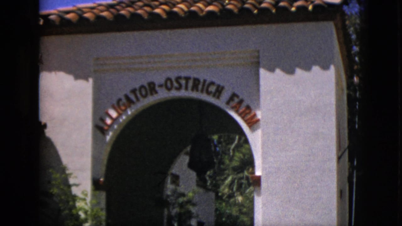 1952 Quebec 8mm frame showing the Alligator-Ostrich Farm entrance arch with bold lettering and a shaded passage beyond.
