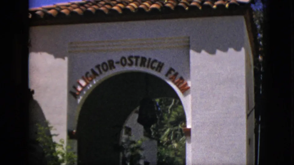 1952 Quebec 8mm frame showing the Alligator-Ostrich Farm entrance arch with bold lettering and a shaded passage beyond.