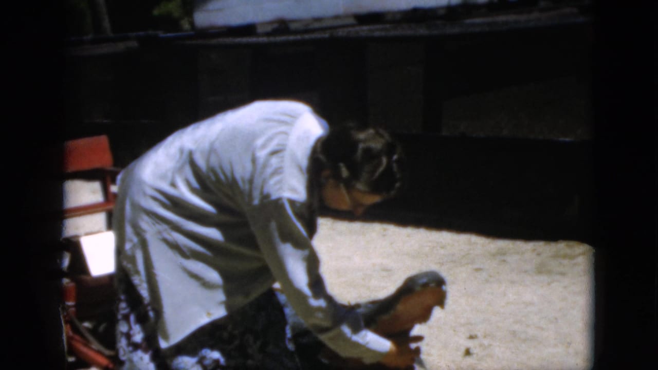 Woman bends over an alligator in a sandy zoo enclosure.