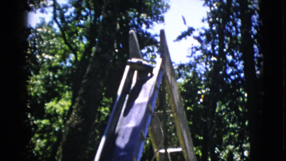 Wooden ladder or exhibit ramp in an outdoor enclosure setting with deciduous tree canopy and blue sky, 8mm home movie circa 1952.