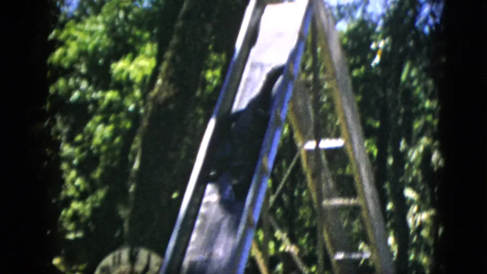 Blue-painted wooden ladder or ramp structure with dense summer foliage behind it, shot on 8mm home movie film circa 1952.