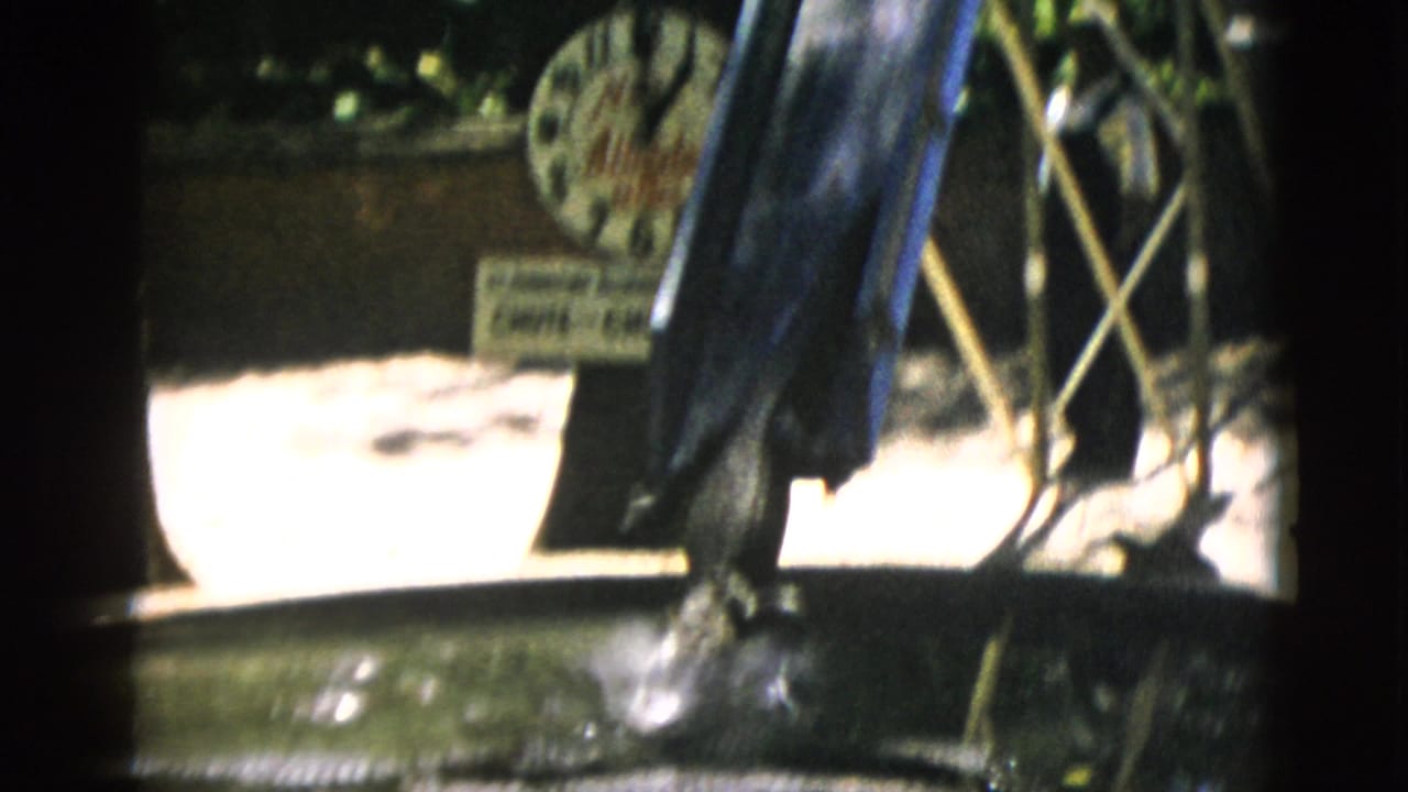 Close-up of a dark display figure and bamboo or wooden lattice in a sunlit brick-walled outdoor enclosure, possibly at a mid-century animal attraction, ca. 1952.