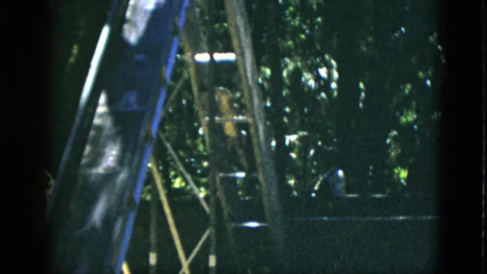 8mm home movie frame circa 1952 — metal playground slide with attached ladder, dark animal form at base, dappled deciduous forest light, pronounced film grain.