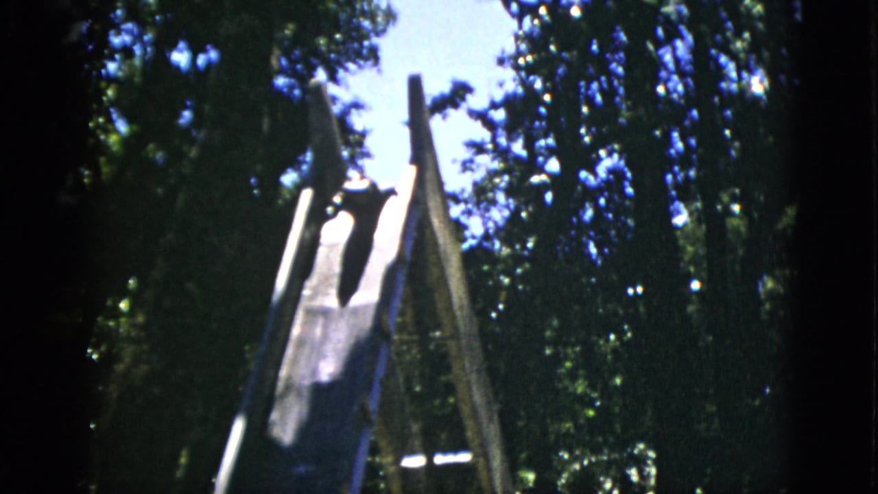 8mm film frame circa 1952, Quebec: wooden slide with a dark animal shape, dense tree canopy overhead, similar framing to preceding shot.
