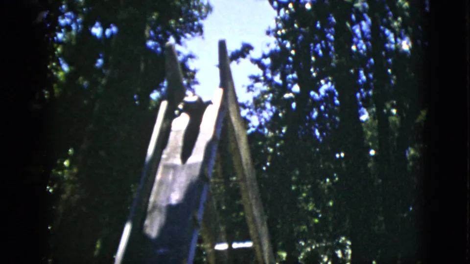 8mm film frame circa 1952, Quebec: wooden slide with a dark animal shape, dense tree canopy overhead, similar framing to preceding shot.