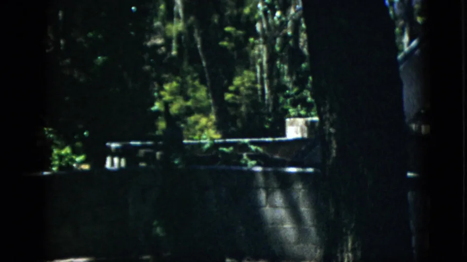 Underexposed pan showing stone enclosure barrier and surrounding green foliage at a mid-century zoo, circa 1952 8mm.