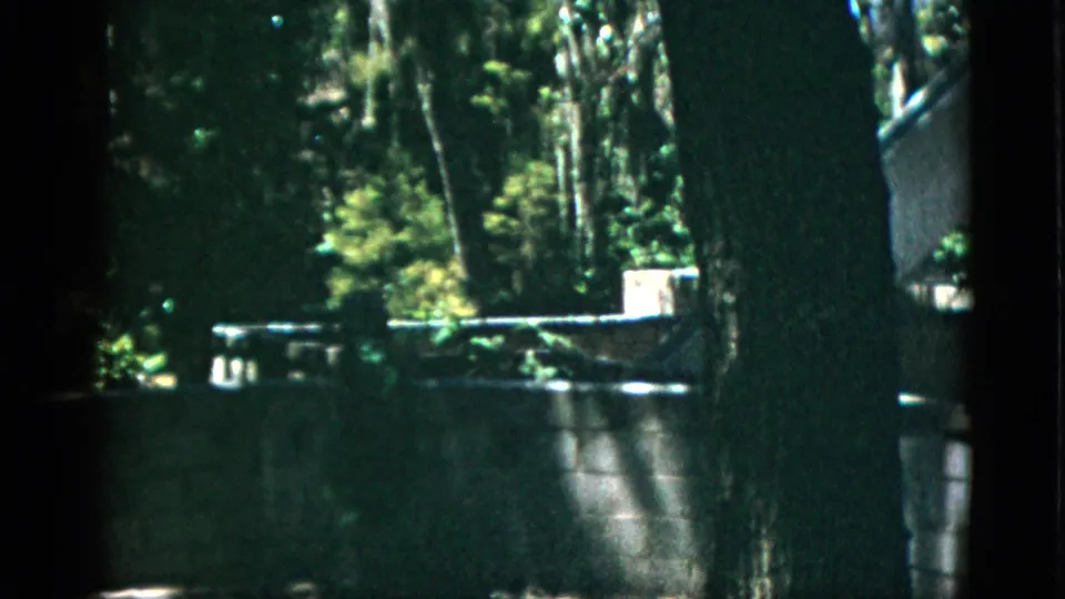 Enclosure boundary wall with tree-lined background and distant small structure, 8mm zoo footage circa 1952.