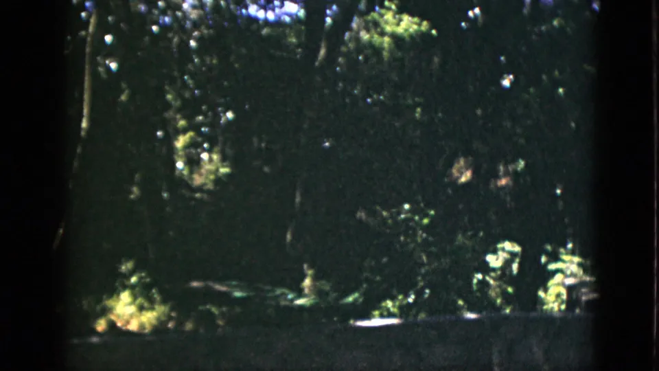 Dark 8mm transitional frame showing wooded zoo enclosure, circa 1952 Quebec, with heavy shadow obscuring detail.