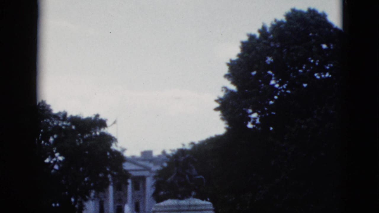 White House colonnade partially obscured by large deciduous trees; equestrian statue visible through foliage; pale overcast sky; 8mm color shift.