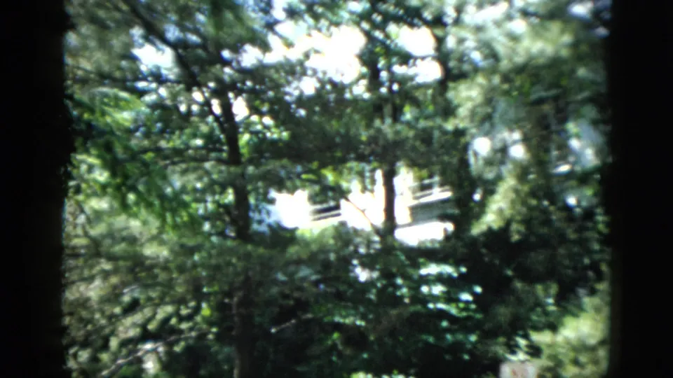 The camera turns from the group to trees and dense foliage, with a pale structure faintly visible beyond the garden.