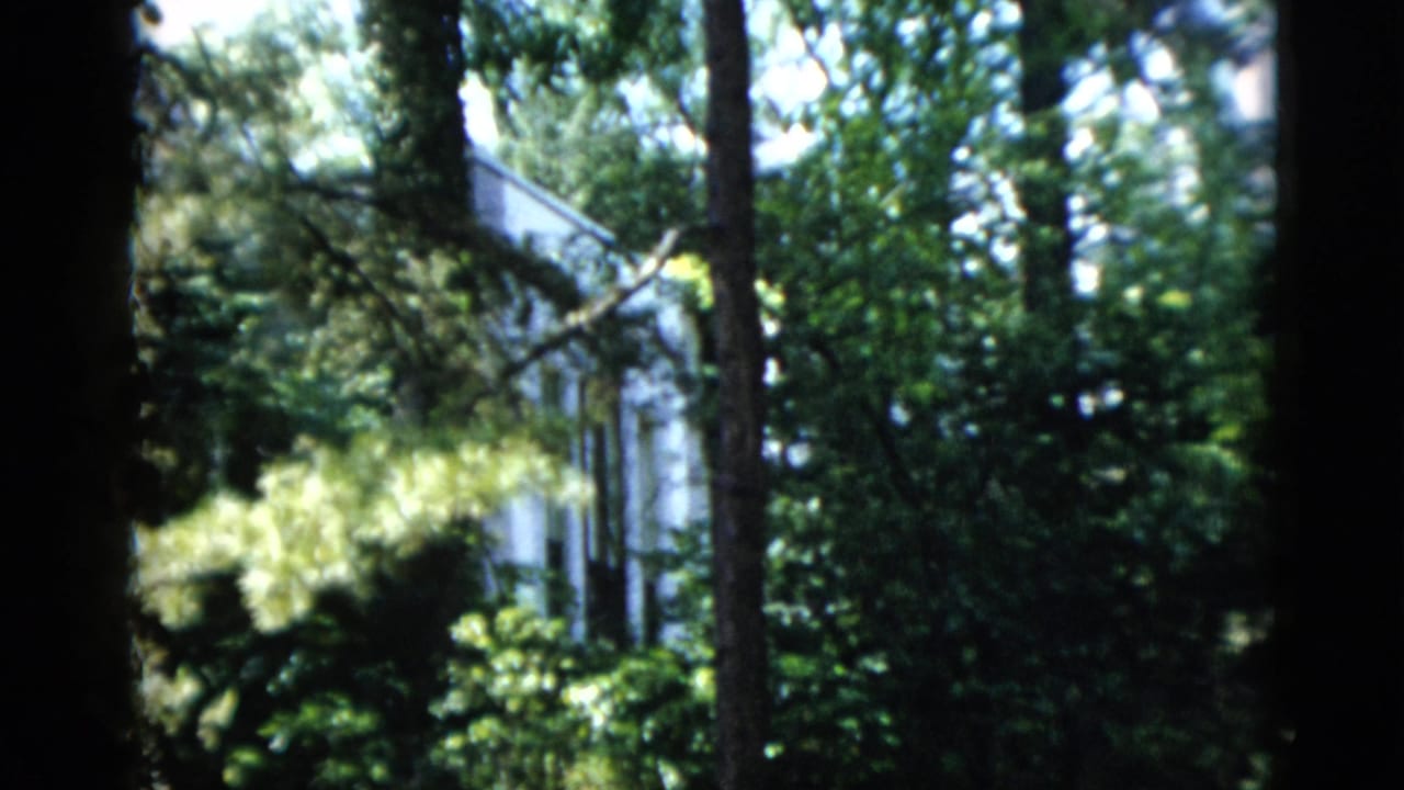 1952 Washington, DC home-movie frame showing a white house glimpsed through tall trees and leafy garden growth.