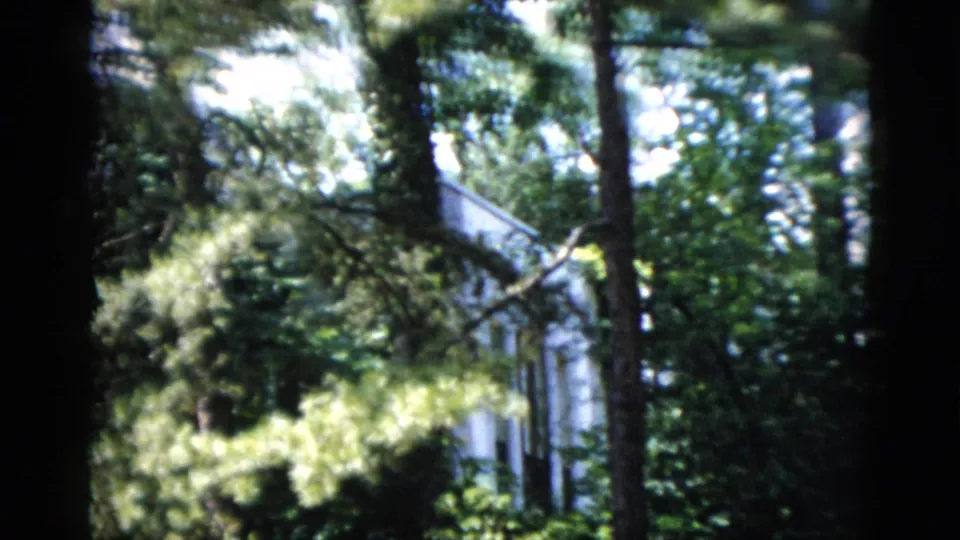 White residential exterior in Washington, DC, seen through overlapping trees, leaves, and high-contrast garden shade.