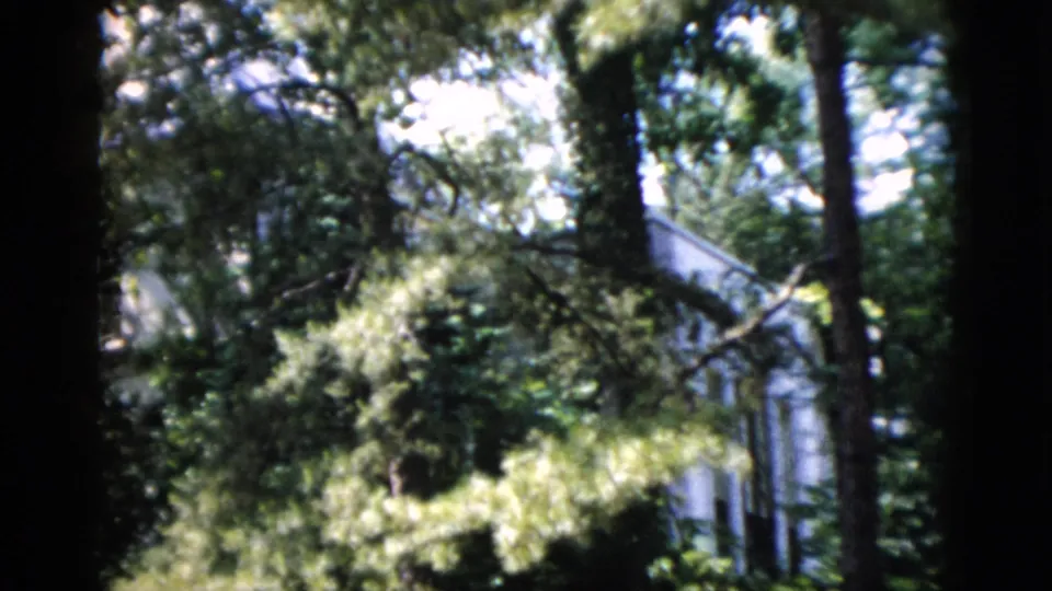 Soft 8mm frame of a white house mostly hidden by tree trunks, leafy shrubs, and sunlit branches in a garden setting.