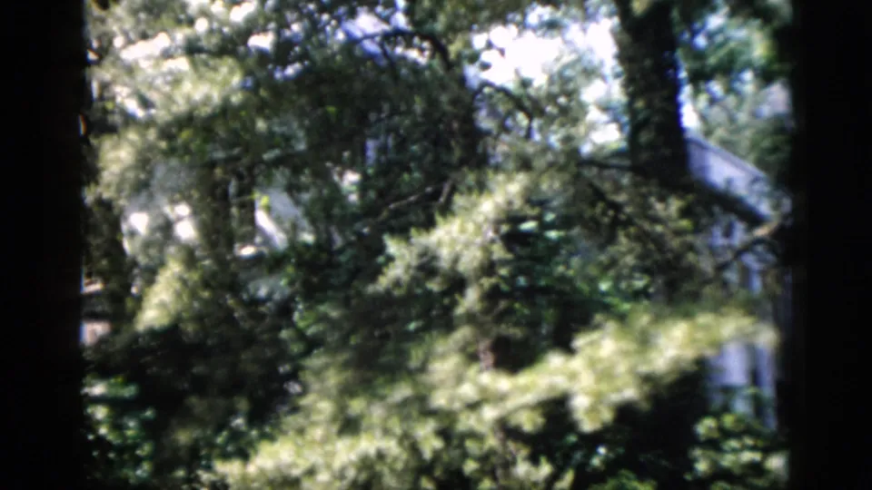 Washington, DC residential exterior glimpsed through mature trees and bright garden foliage in a soft 1952 8mm frame.
