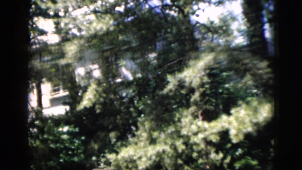 1952 Washington, DC home-movie frame looking through dense trees toward a pale building partly visible behind foliage.