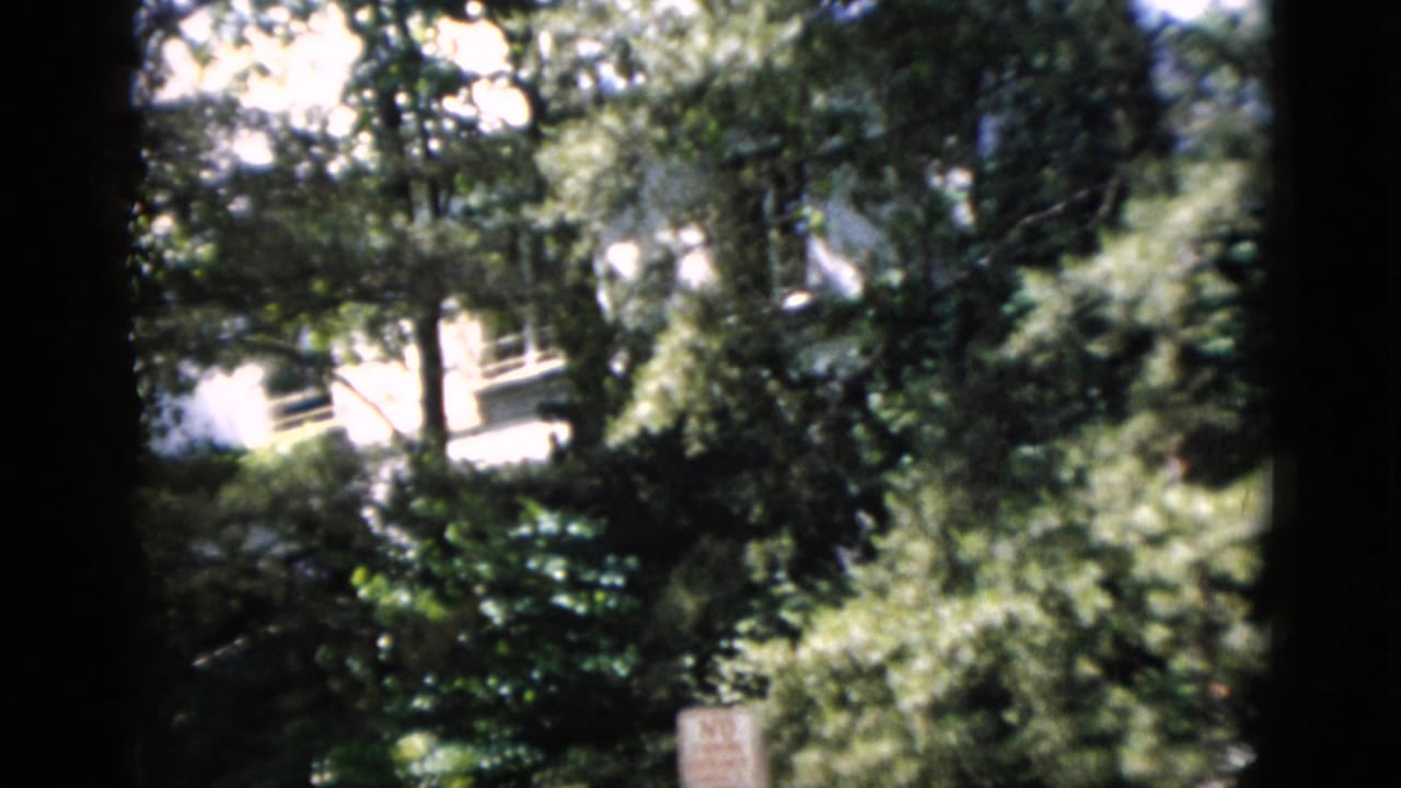Washington, DC 1952 frame with trees, shrubs, a pale building, and a partly readable sign near the lower right.