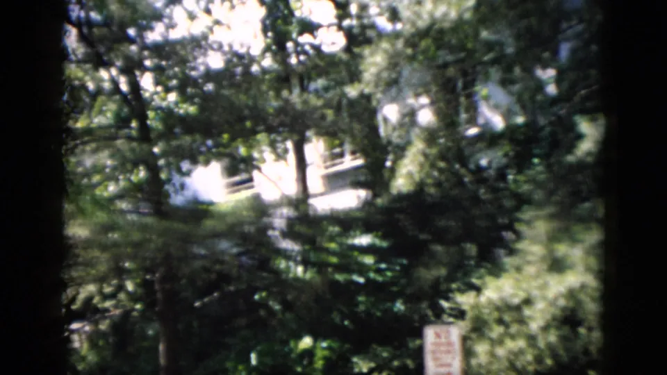 1952 Washington, DC exterior view through moving leaves toward a pale building, with a small sign at the lower right edge.
