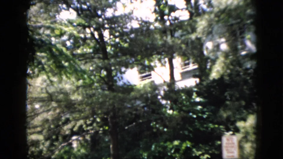 Washington, DC 1952 home-movie still showing dense trees, shrubs, a pale building, and a small posted sign.